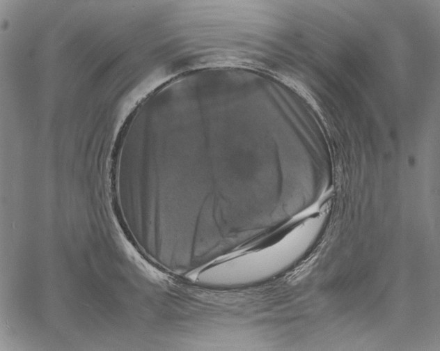 X0000061140995200512161525