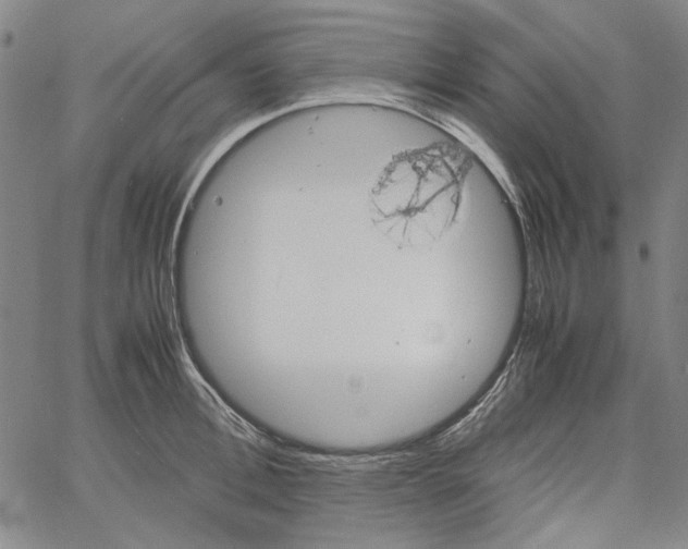 X0000061140996200512161525