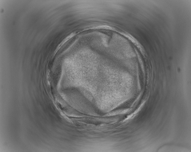 X0000061141001200512161525