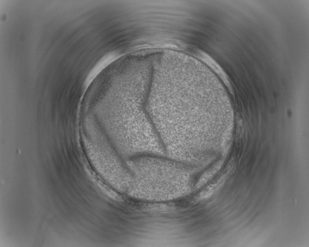 X0000061141002200512161525