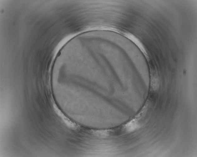 X0000061141004200512161525