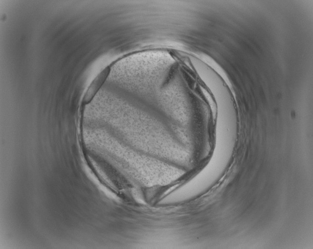 X0000061141005200512161525