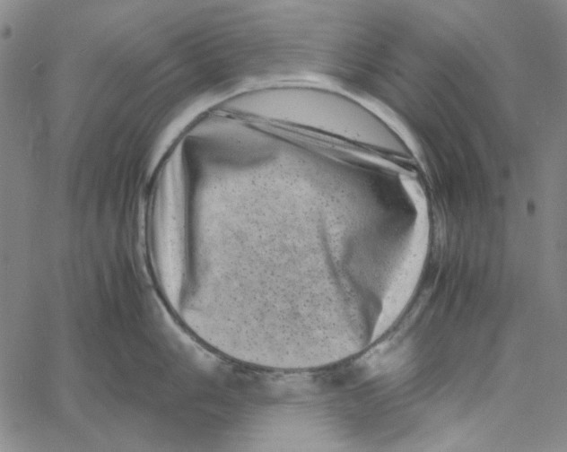 X0000061141006200512161525