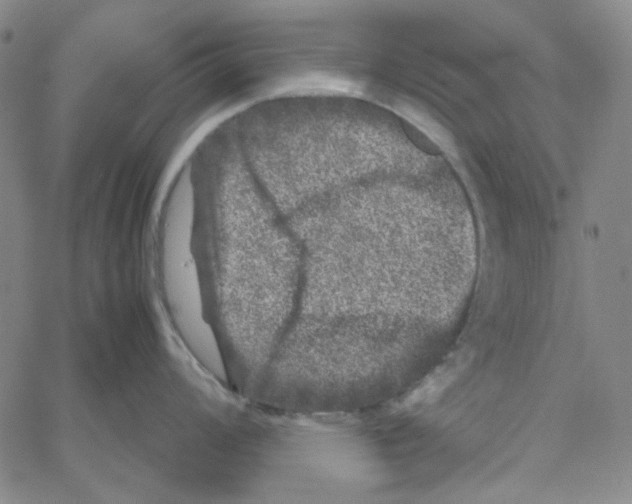 X0000061141008200512161525