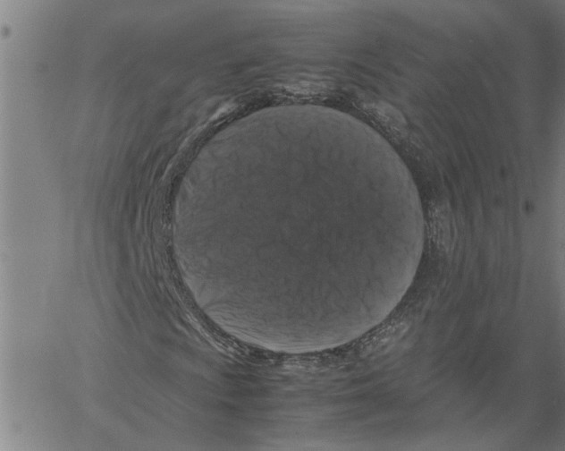 X0000061141009200512161524