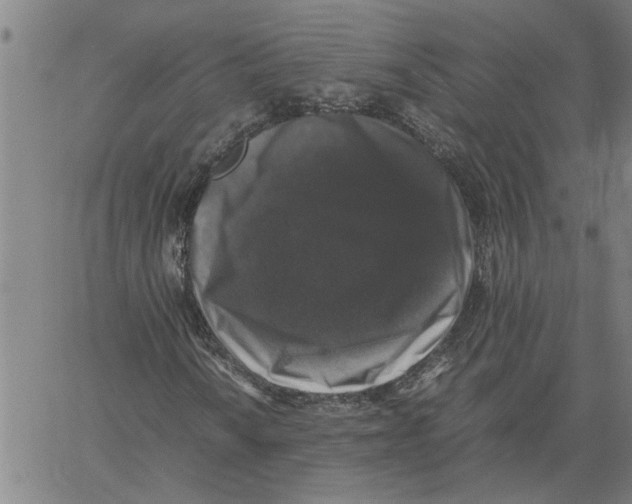 X0000061141010200512161524