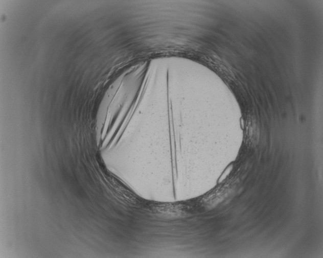 X0000061141012200512161524