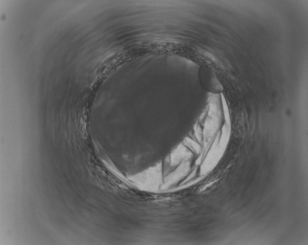 X0000061141013200512161524