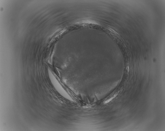 X0000061141014200512161524