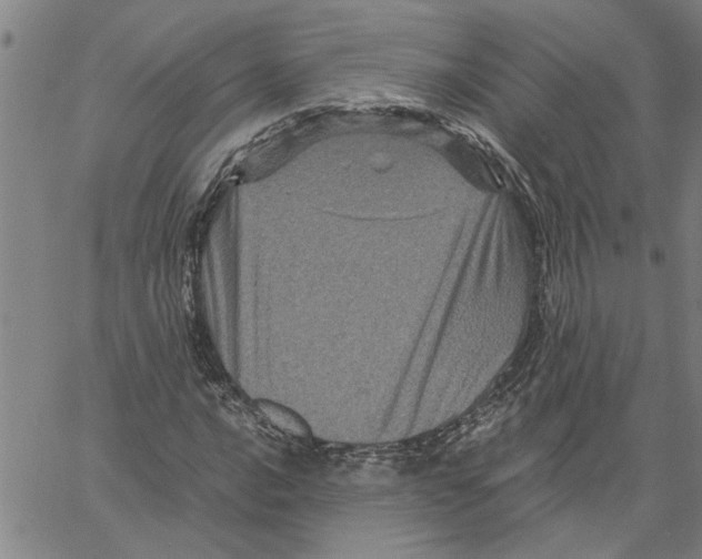 X0000061141016200512161524