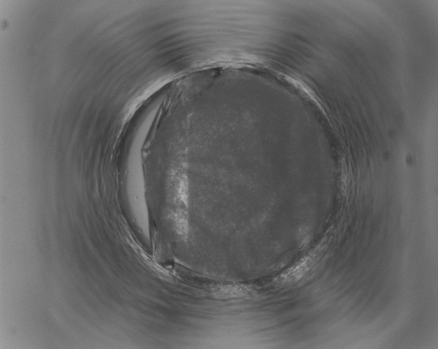 X0000061141018200512161525