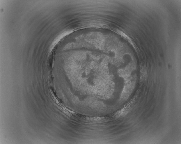 X0000061141019200512161525