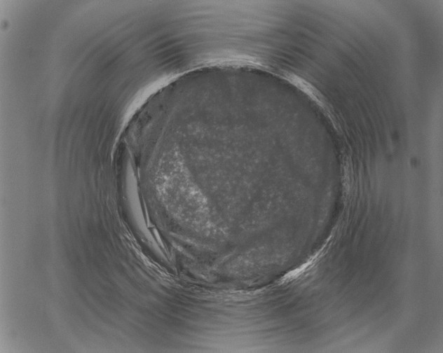 X0000061141022200512161525