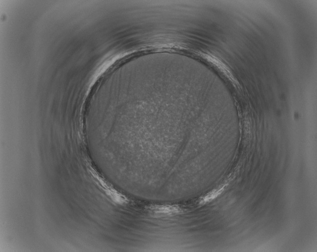 X0000061141023200512161525