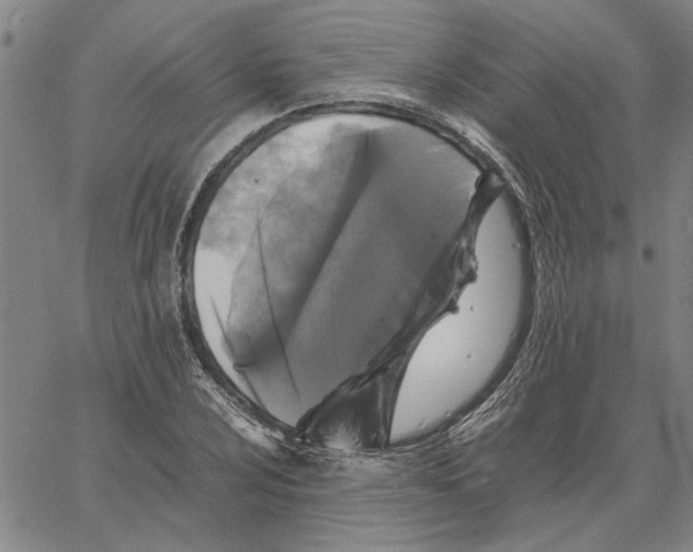 X0000061141024200512161525