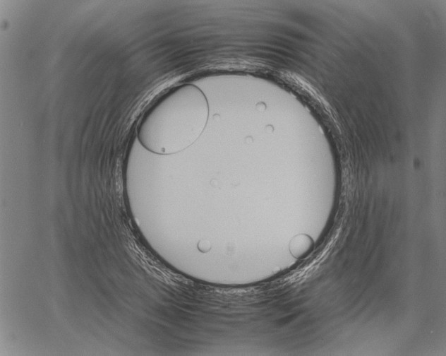 X0000061141025200512161525