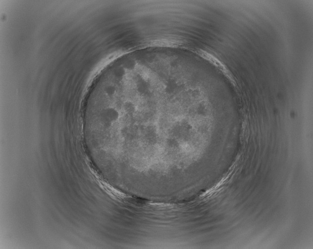 X0000061141027200512161525