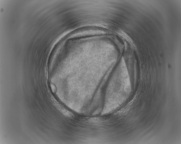 X0000061141028200512161525