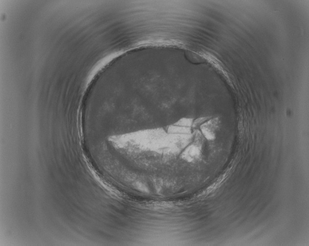 X0000061141030200512161525