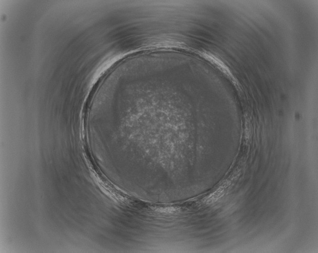 X0000061141031200512161525