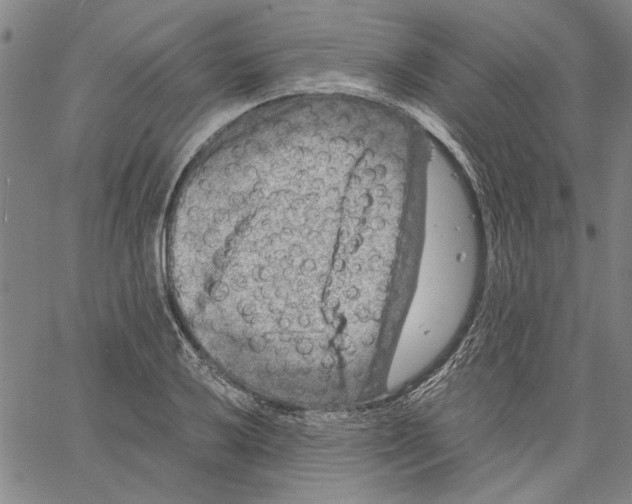 X0000061141032200512161525