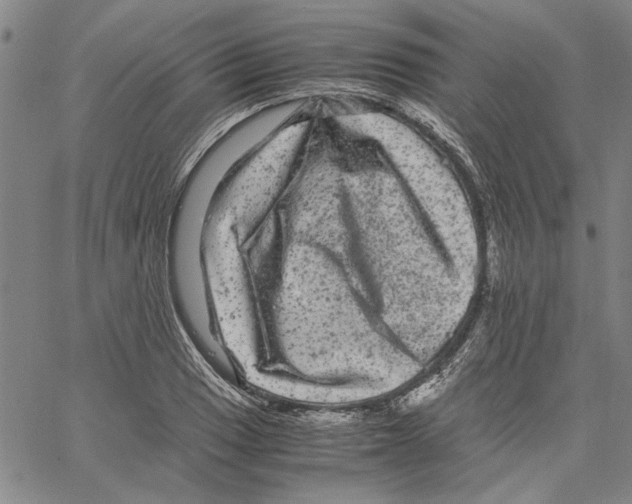 X0000061141033200512161525