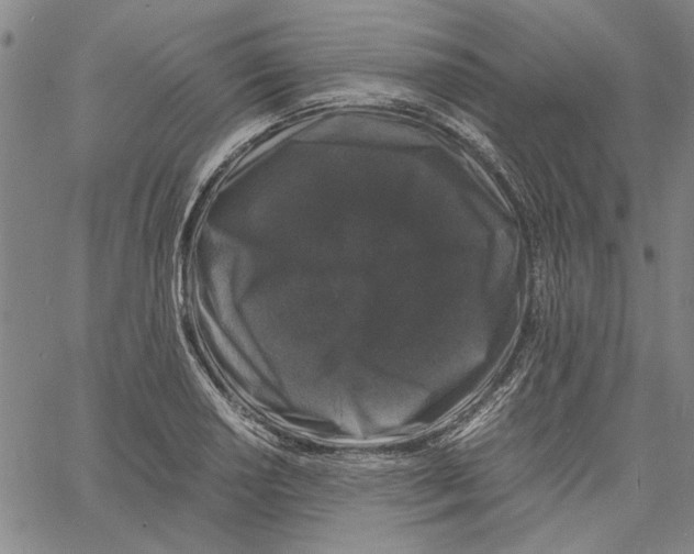 X0000061141034200512161525