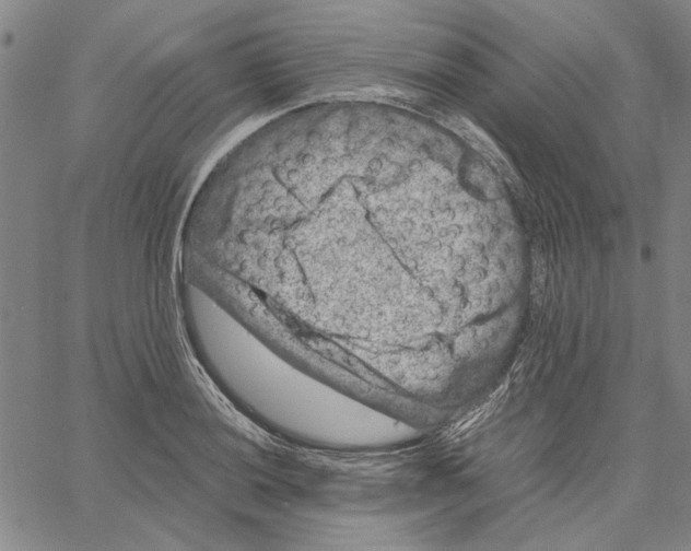 X0000061141036200512161525