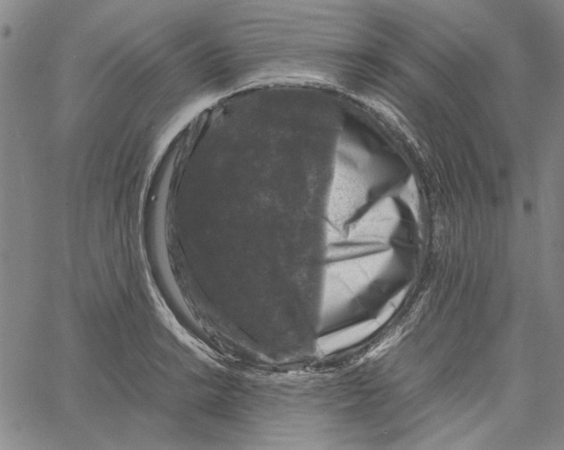 X0000061141038200512161525