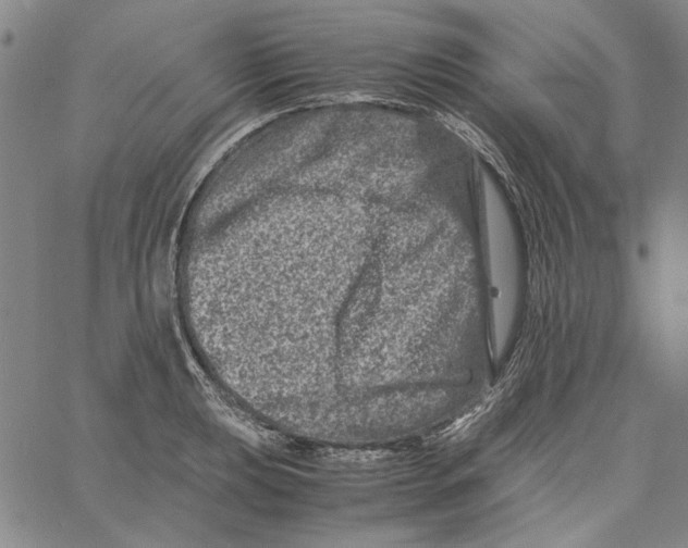 X0000061141039200512161525