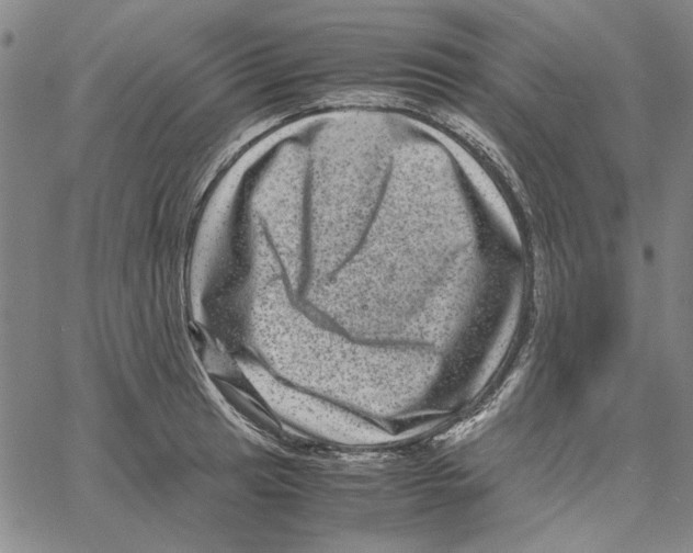 X0000061141041200512161525