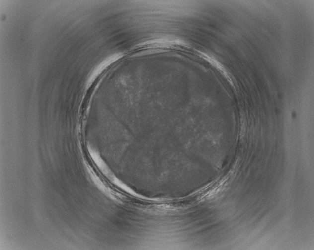 X0000061141042200512161525