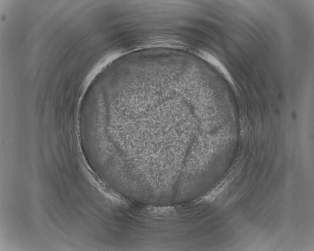 X0000061141043200512161525