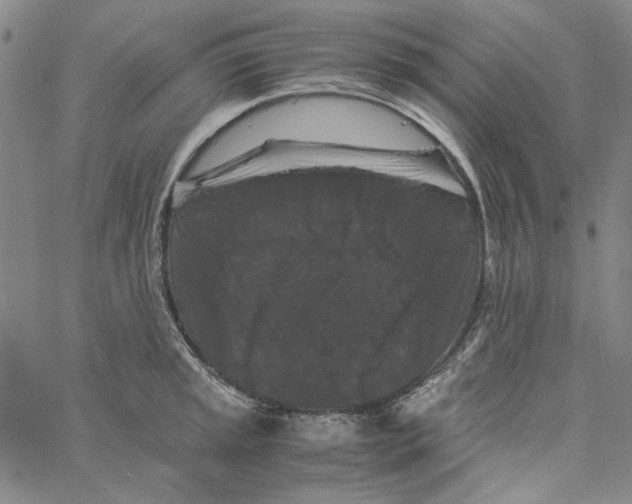 X0000061141045200512161525