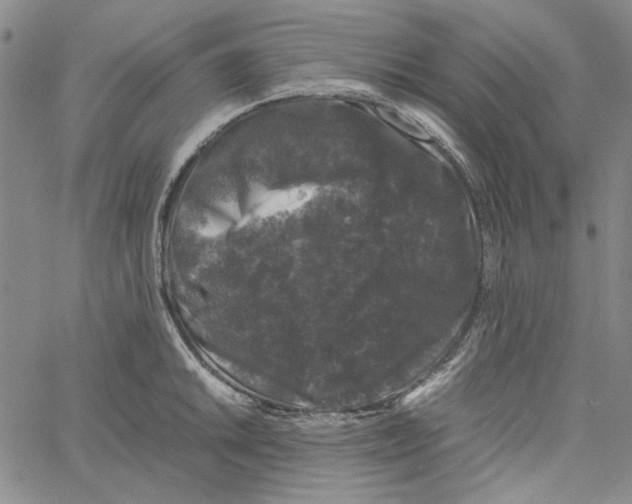 X0000061141046200512161525