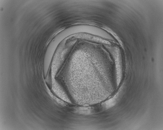 X0000061141049200512161525