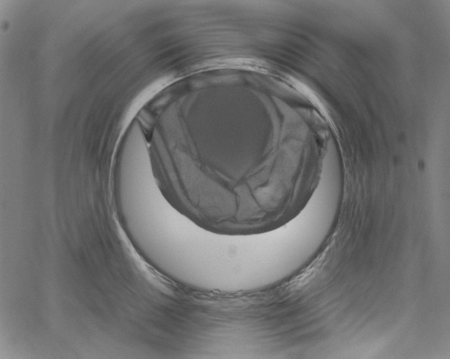 X0000061141050200512161525