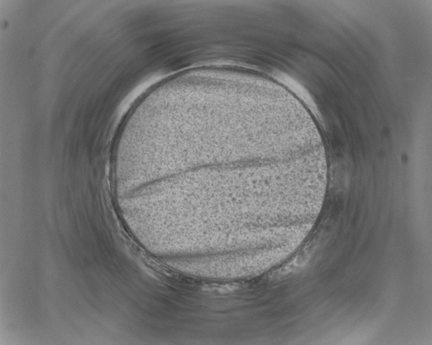 X0000061141051200512161525