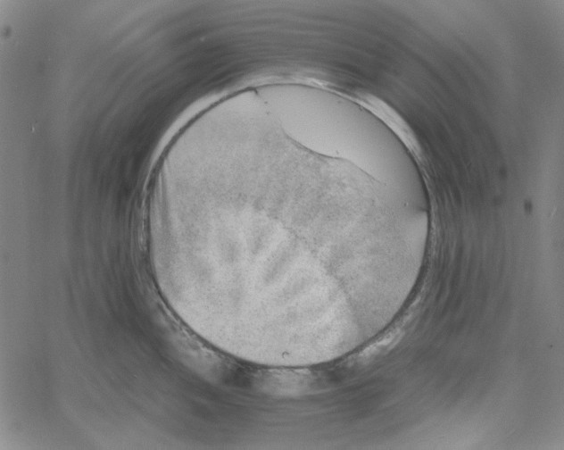 X0000061141052200512161525