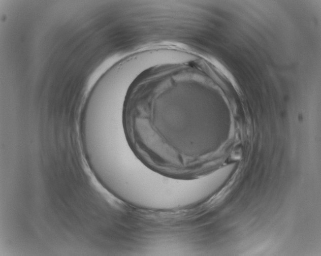 X0000061141054200512161525