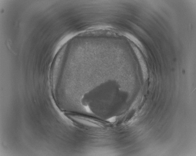 X0000061141055200512161525