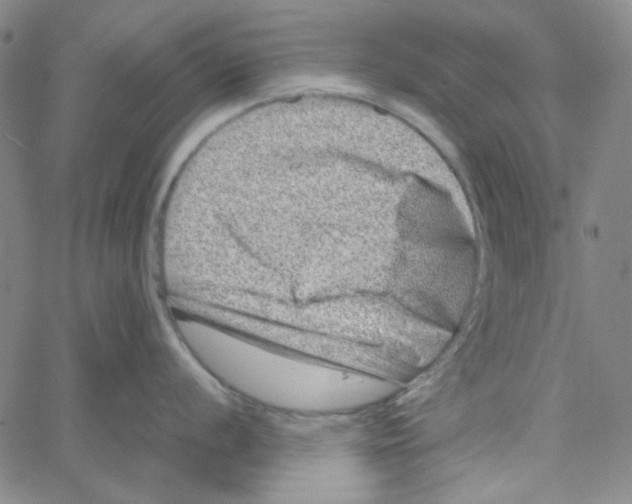 X0000061141056200512161525