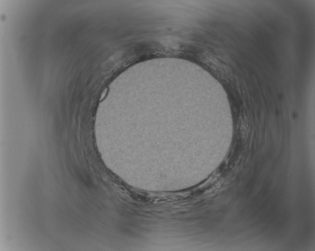 X0000061141057200512161524