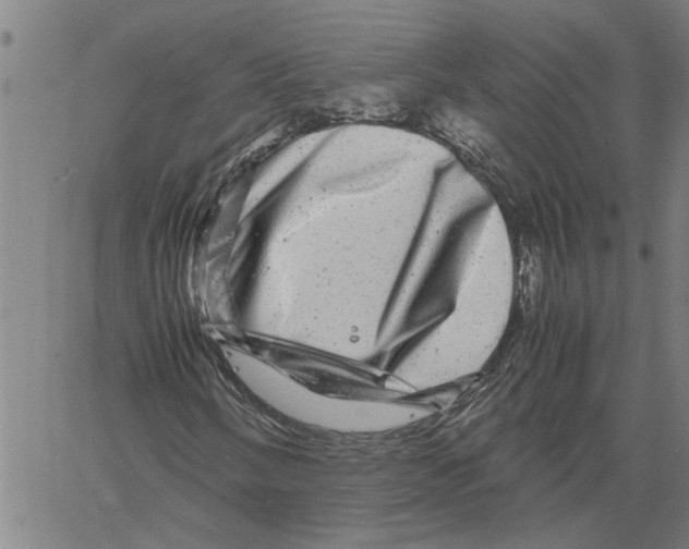 X0000061141058200512161524