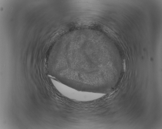 X0000061141059200512161524