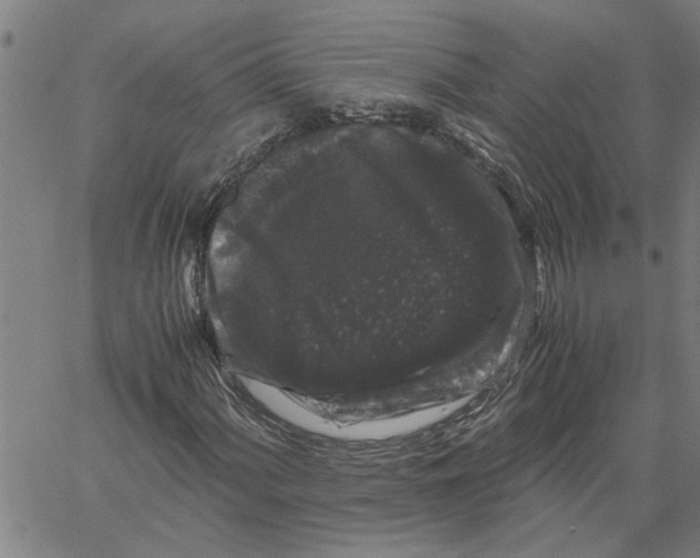 X0000061141060200512161524