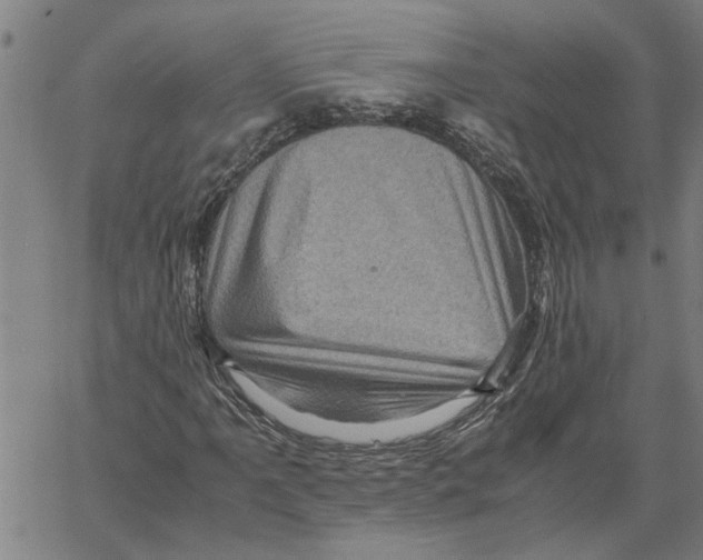 X0000061141061200512161524