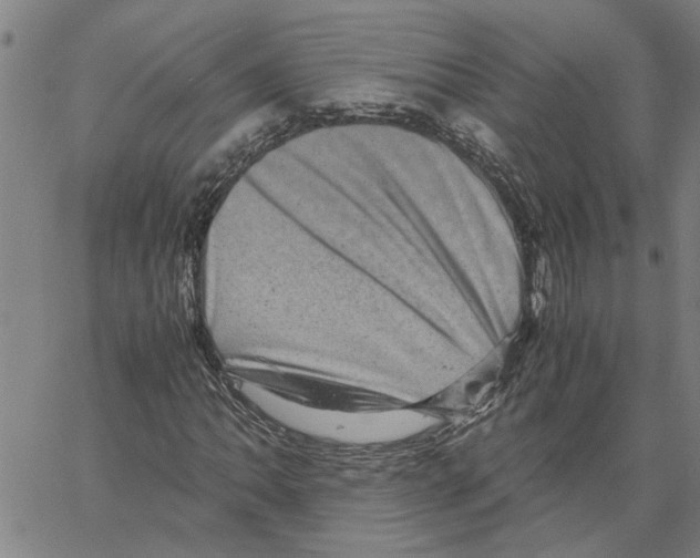 X0000061141062200512161524