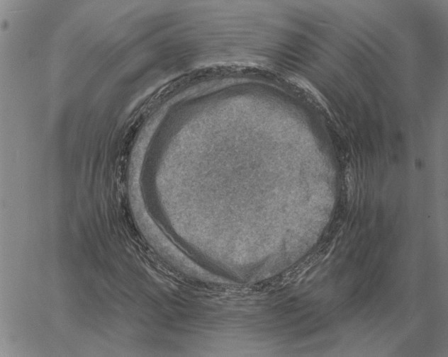 X0000061141064200512161524