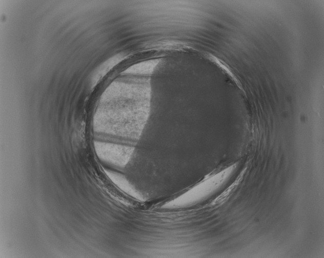 X0000061141066200512161524